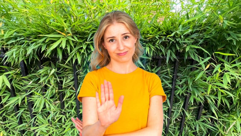 Pourquoi planter du bambou dans votre jardin est la pire idée que vous aurez aujourd’hui (à moins d’avoir un panda)