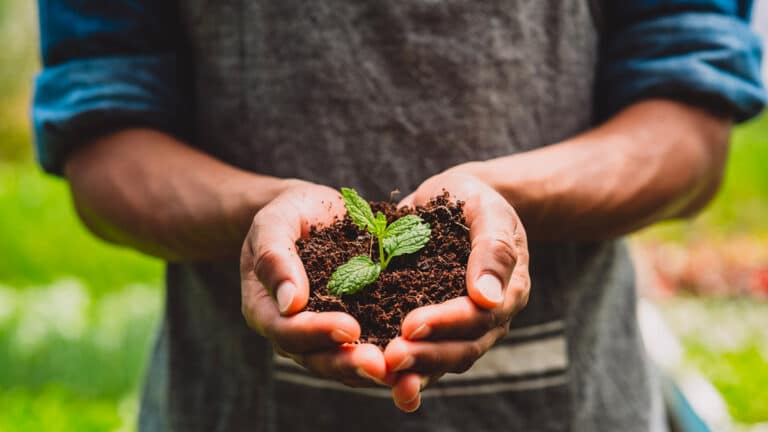 Jardinage : cette bactérie que l’on trouve dans la terre pourrait nous rendre plus heureux d’après une étude