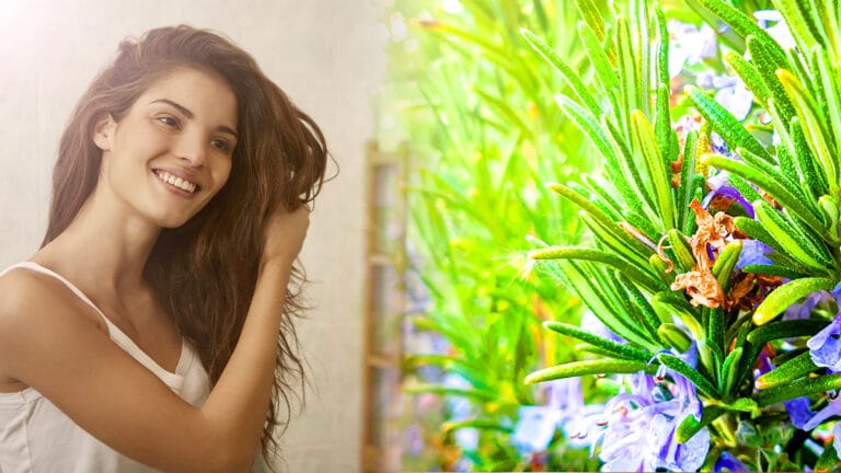 Pourquoi le romarin dans votre shampooing est-il devenu un must pour des cheveux sains ?