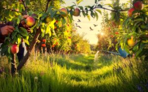 Jardinage en juillet : ces 10 gestes qui métamorphosent mes arbres et fruits (résultats garantis)