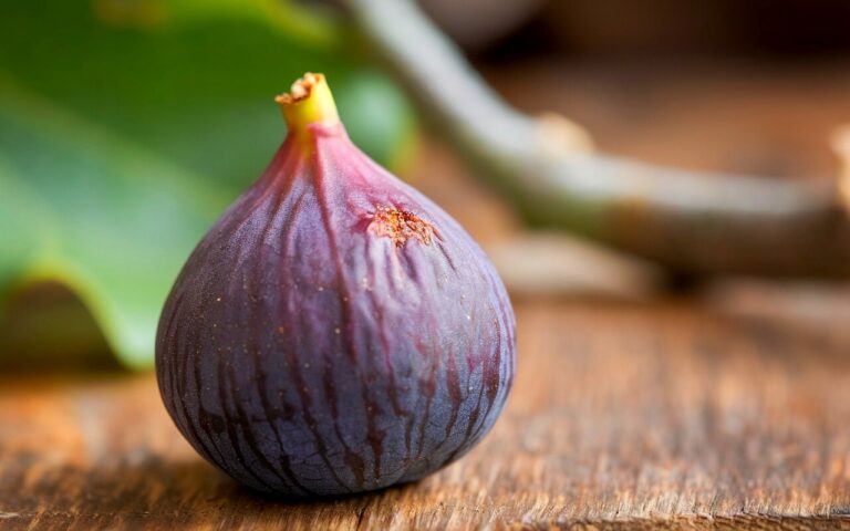 Cette technique très simple permet d’empêcher les figues de s’ouvrir prématurément
