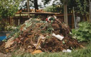 Comment vos déchets de jardinage pourraient devenir les héros méconnus de la biodiversité : découvrez cette astuce estivale