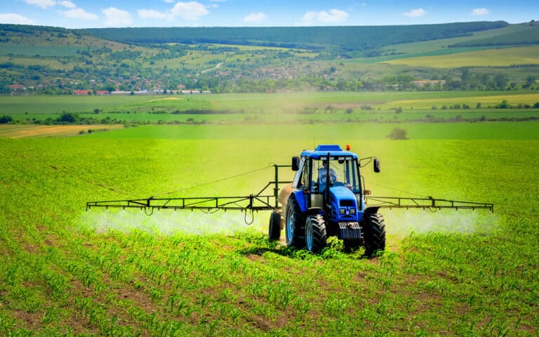 Le parlement réintroduit un insecticide interdit : quels sont les risques pour vous et vos enfants ?